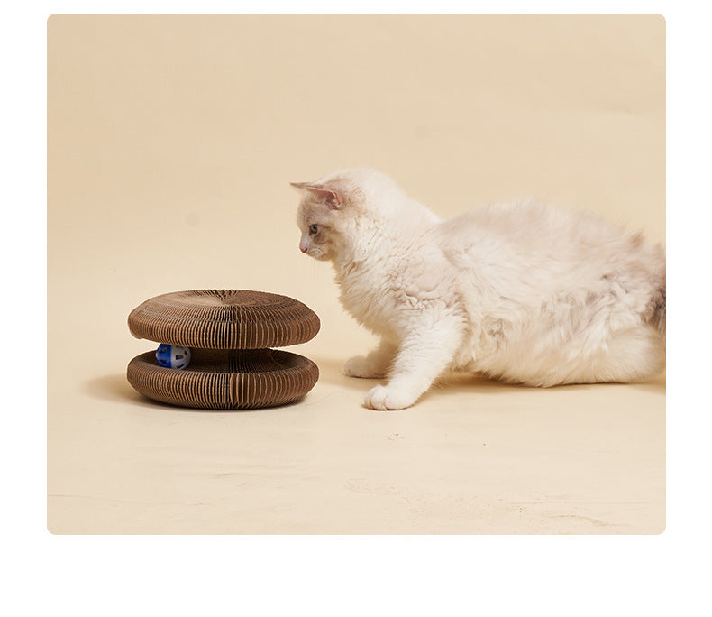 Magisches Katzenkratzbrett