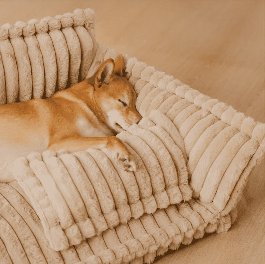 Großes Waschbares Flauschiges Hundebett – Snoozy Dream