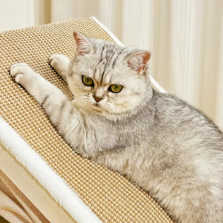 Katzenvilla & Katzenzelt