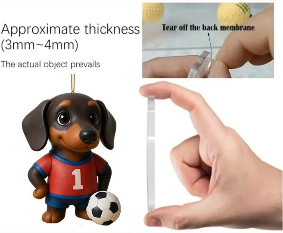 Adventskalender „Dackel-Karrieren“