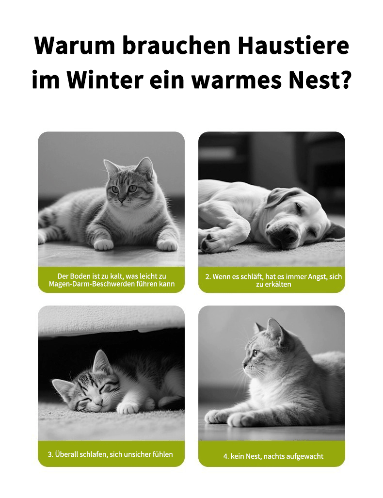 Abnehmbares Winter-Katzenbett