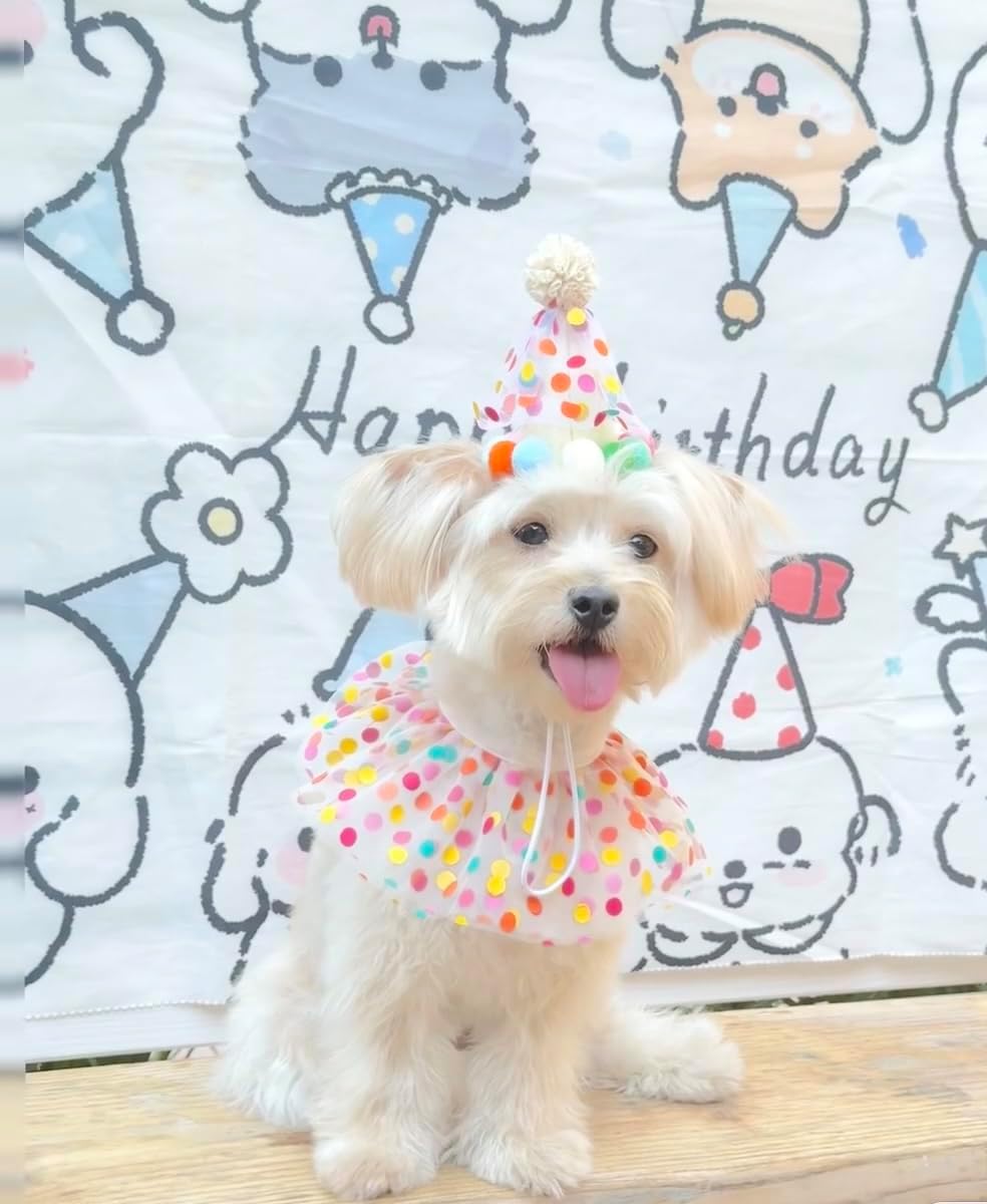 Geburtstagsparty-Anzug