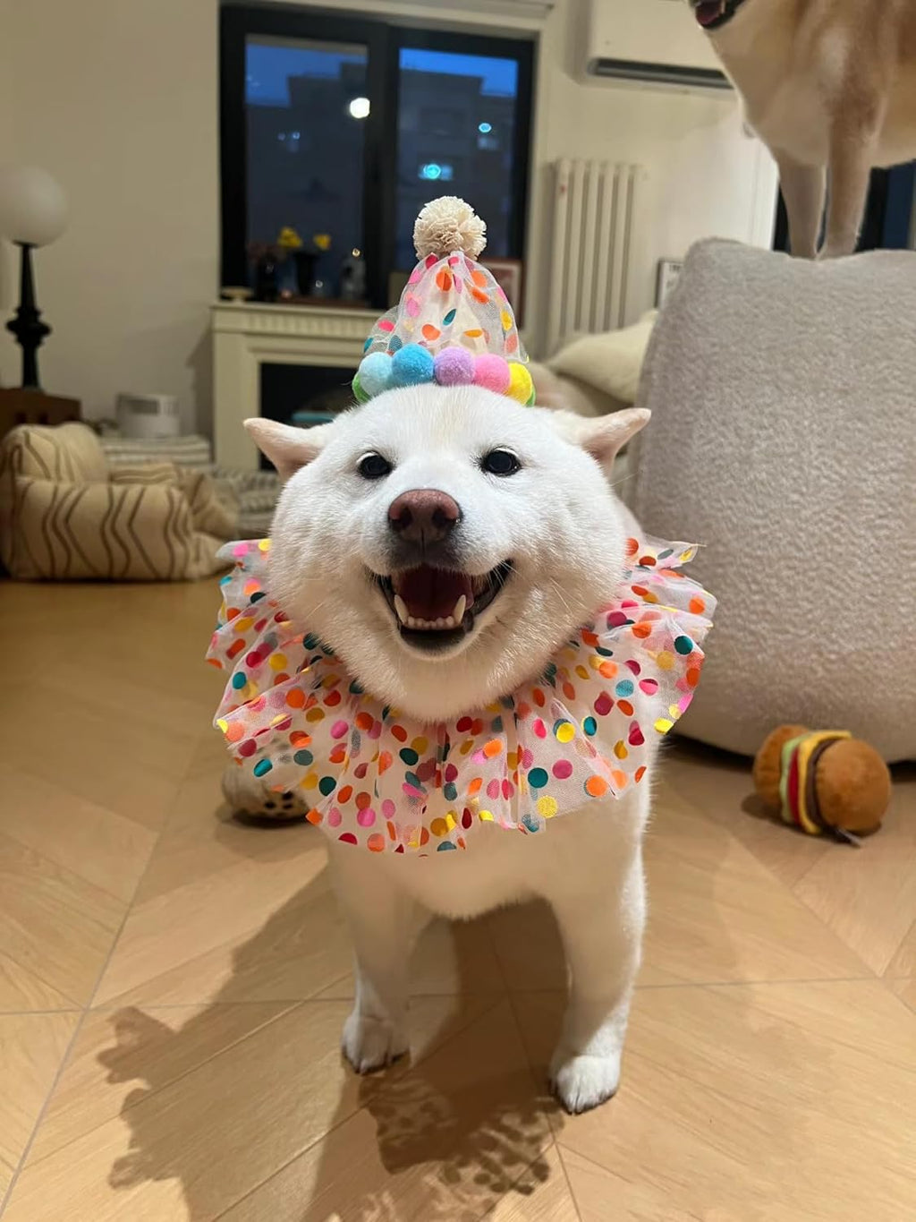 Geburtstagsparty-Anzug