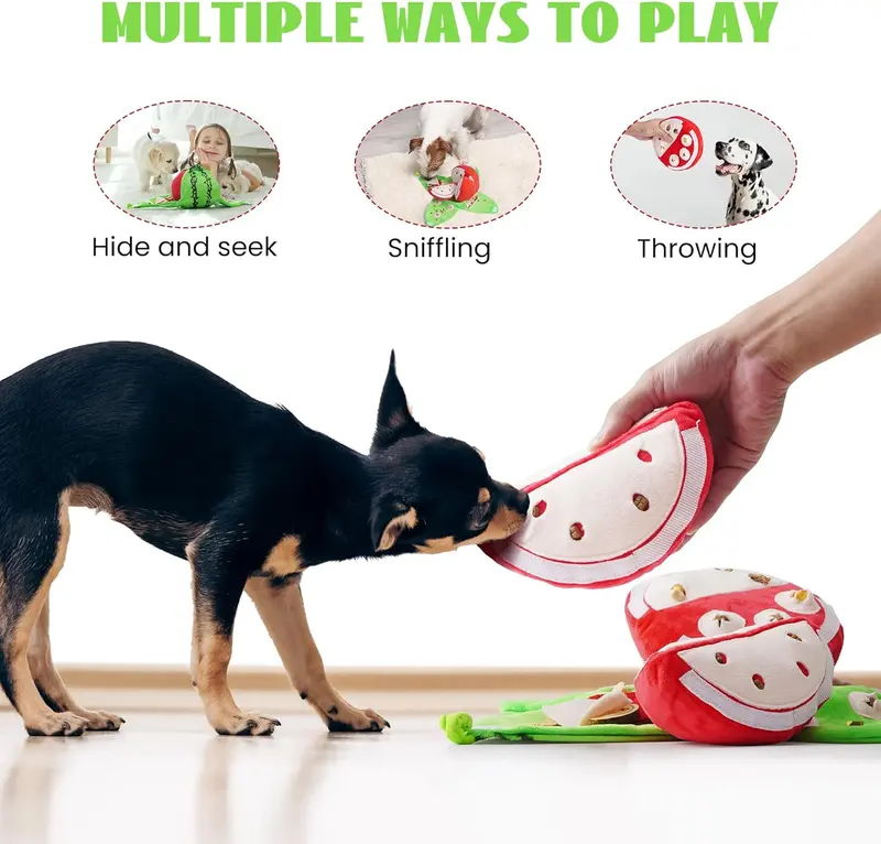 4-in-1 Wassermelonen-Hundespielzeug