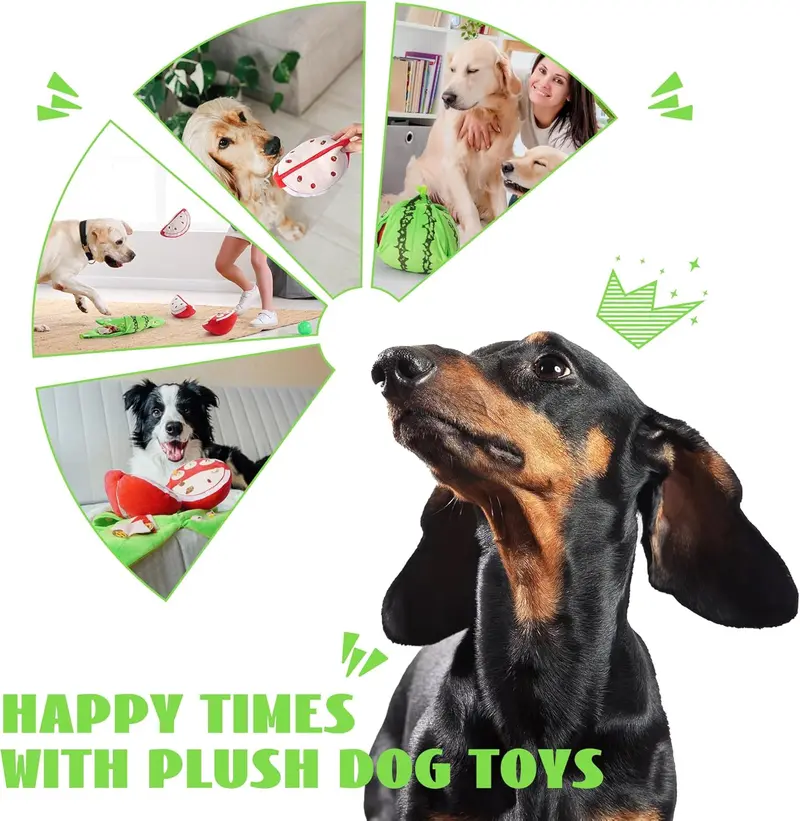 4-in-1 Wassermelonen-Hundespielzeug