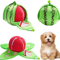 4-in-1 Wassermelonen-Hundespielzeug