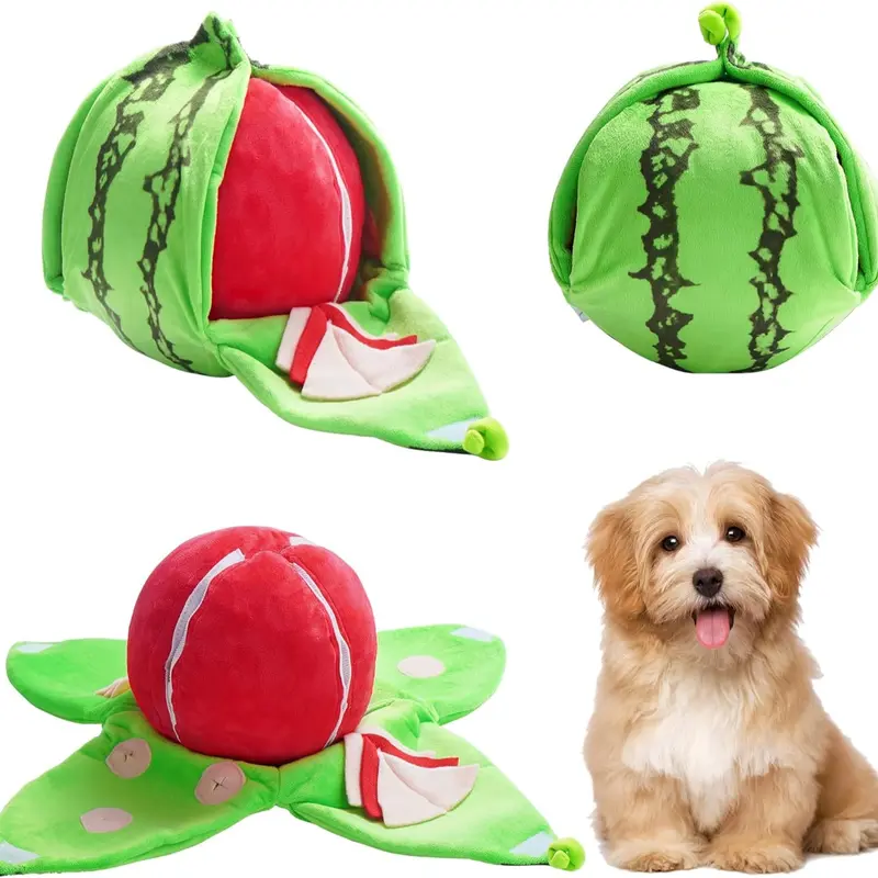 4-in-1 Wassermelonen-Hundespielzeug