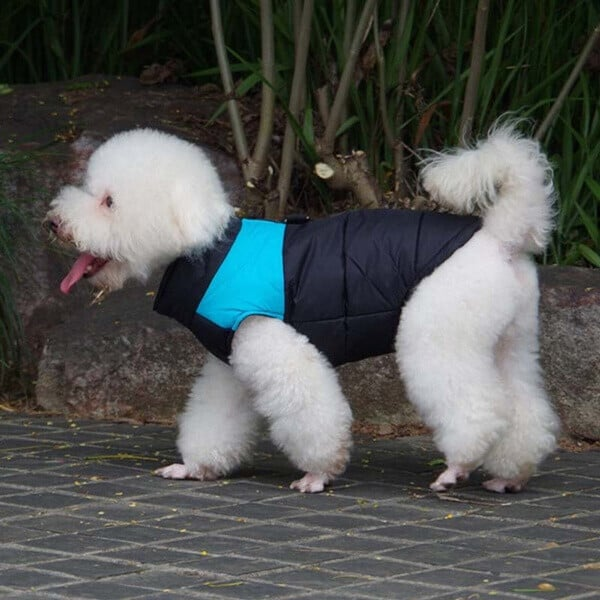 Wasserdichte Hundeweste