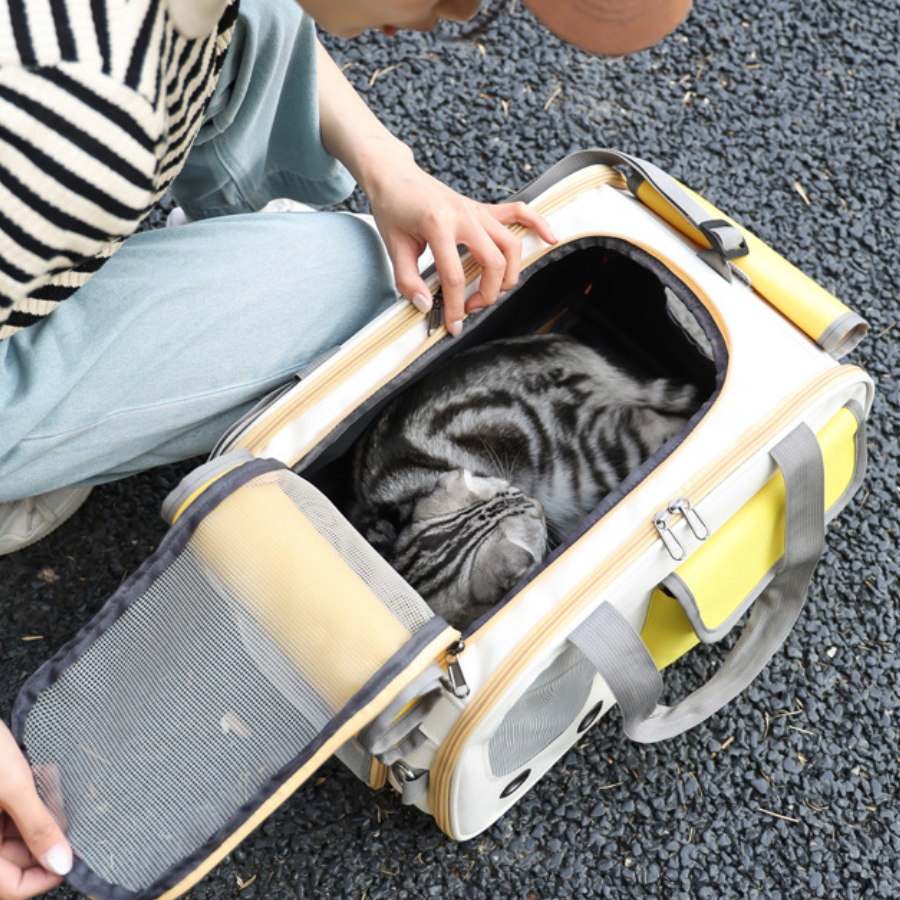 Atmungsaktive Katzentransportbox