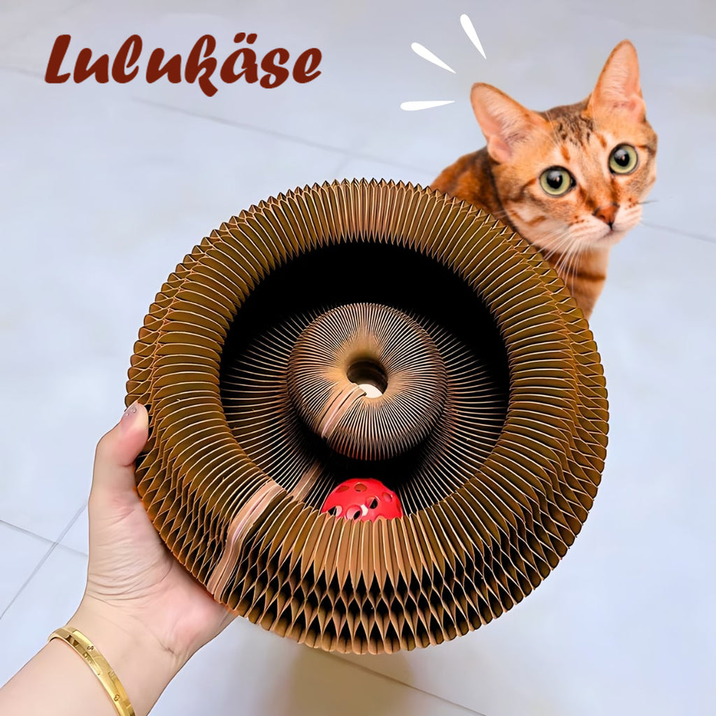 Magisches Katzenkratzbrett