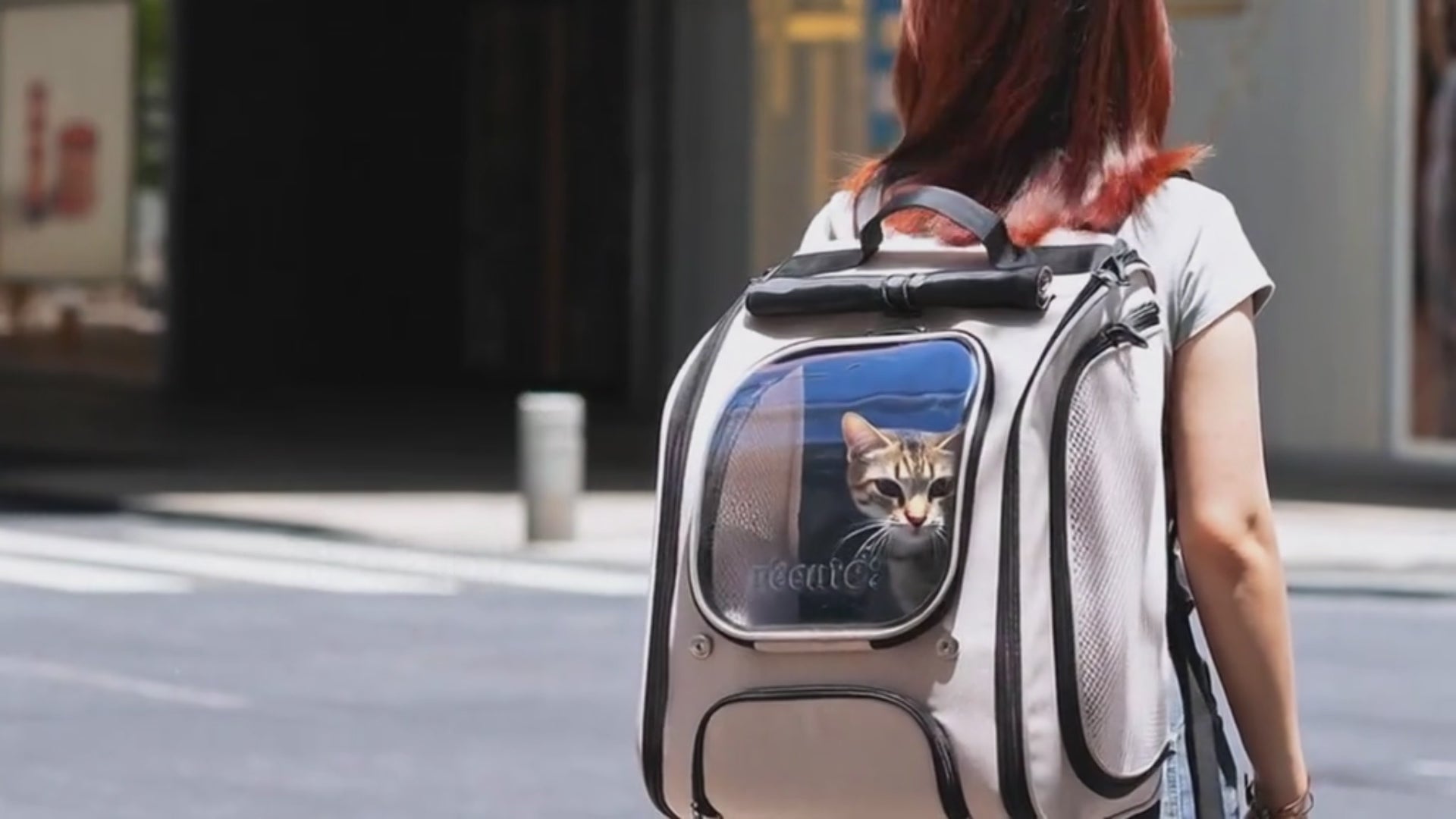 Cat Backpack Carrier